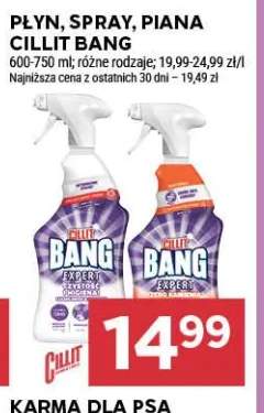 Płyn spray piana Cillit Bang