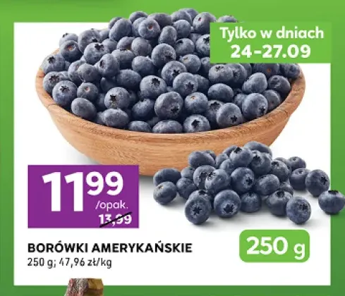 Borówki amerykańskie