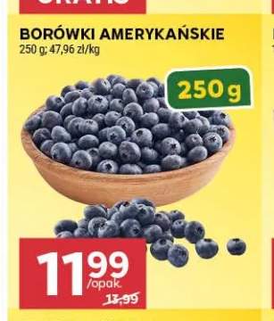 Borówki amerykańskie