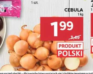 Cebula