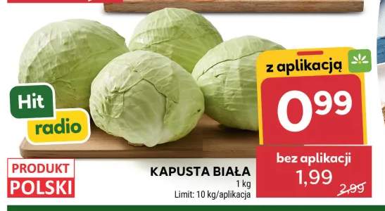 Kapusta biała