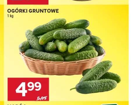 Ogórki gruntowe