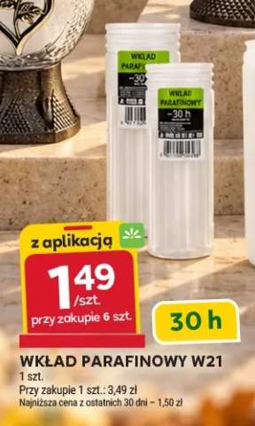 Wkład parafinowy W21