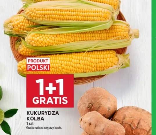 Kukurydza kolba