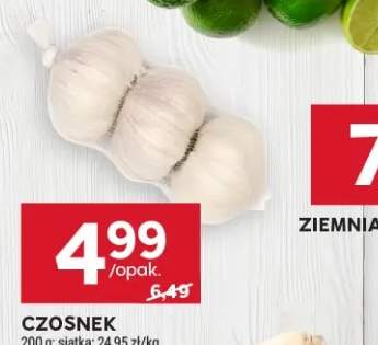 Czosnek