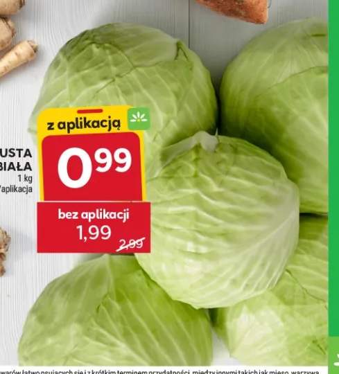 Kapusta biała