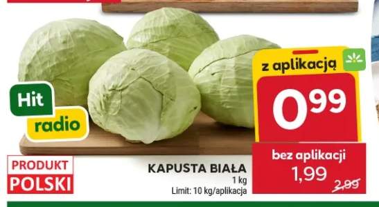Kapusta biała