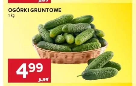 Ogórki gruntowe