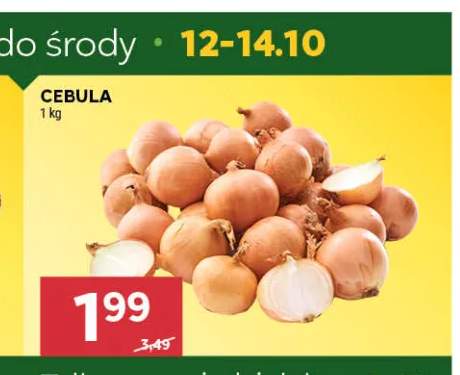 Cebula