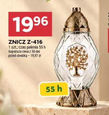 Znicz Z-416