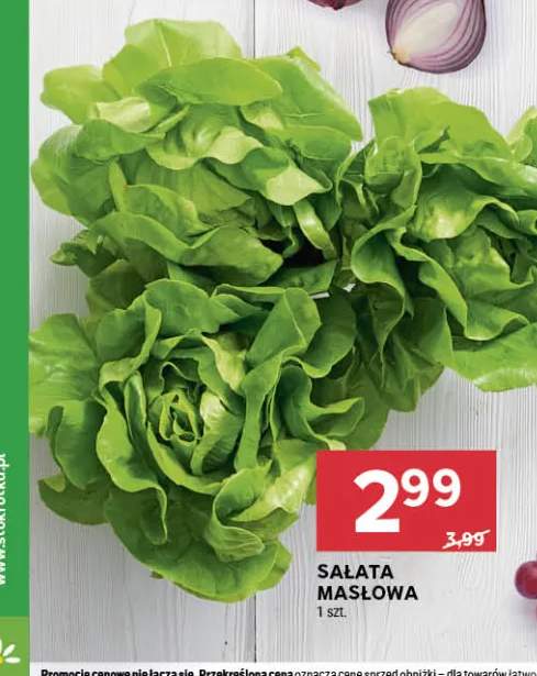 Sałata masłowa