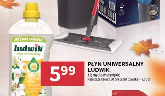 Płyn uniwersalny Ludwik mydło marsylskie
