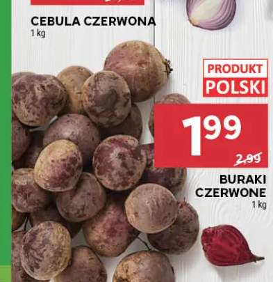 Buraki czerwone