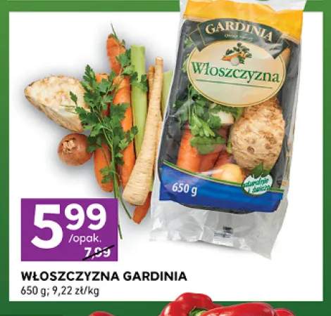 Włoszczyzna Gardinia