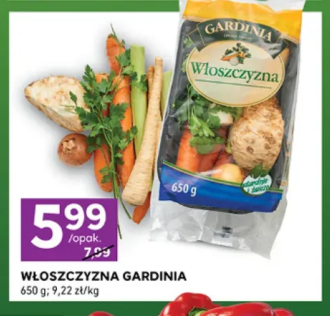 Włoszczyzna Gardinia