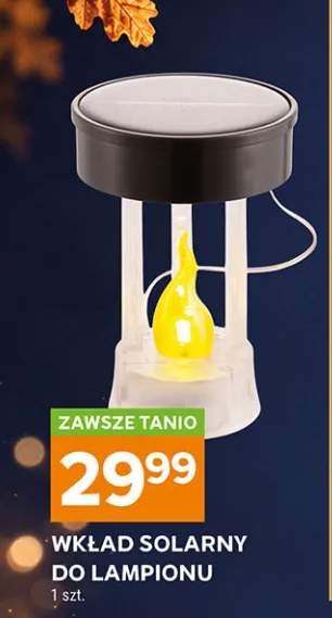 wkład do znicza