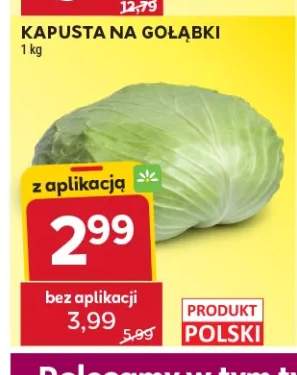 Kapusta na gołąbki