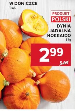Dynia jadalna hokkaido