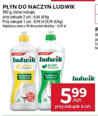 Płyn do naczyń Ludwik