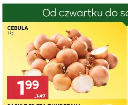 Cebula