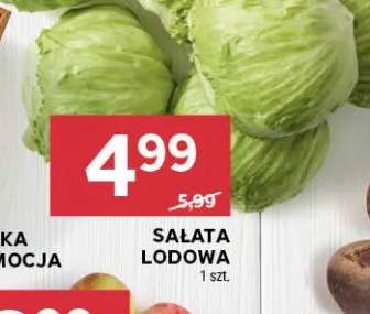 Sałata lodowa