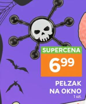 Pełzak na okno