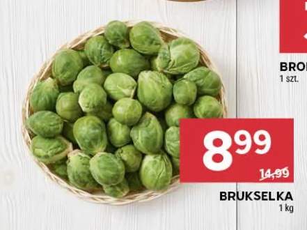 Brukselka