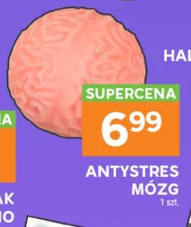 Gniotek antystresowy Mózg