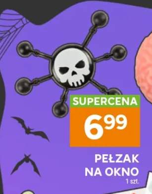 Pełzak na okno