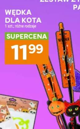 Wędka dla kota