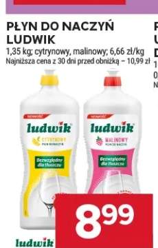 Płyn do naczyń cytrynowy Ludwik +1 wariant