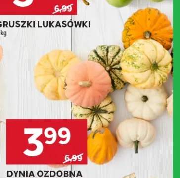 Dynia ozdobna