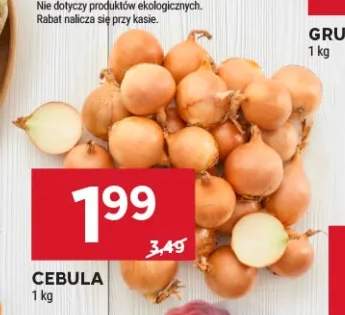 Cebula