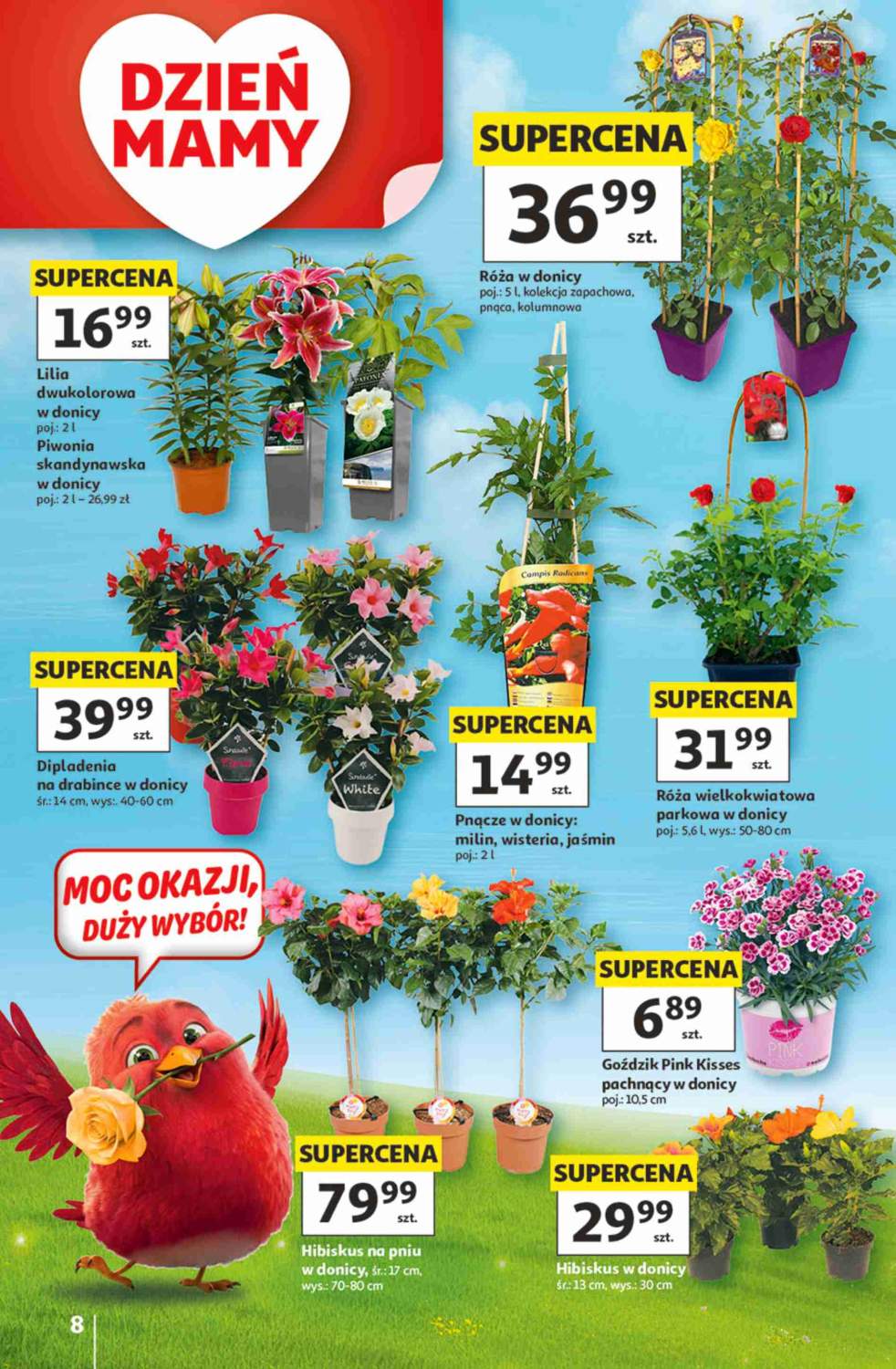 Okładka gazetki