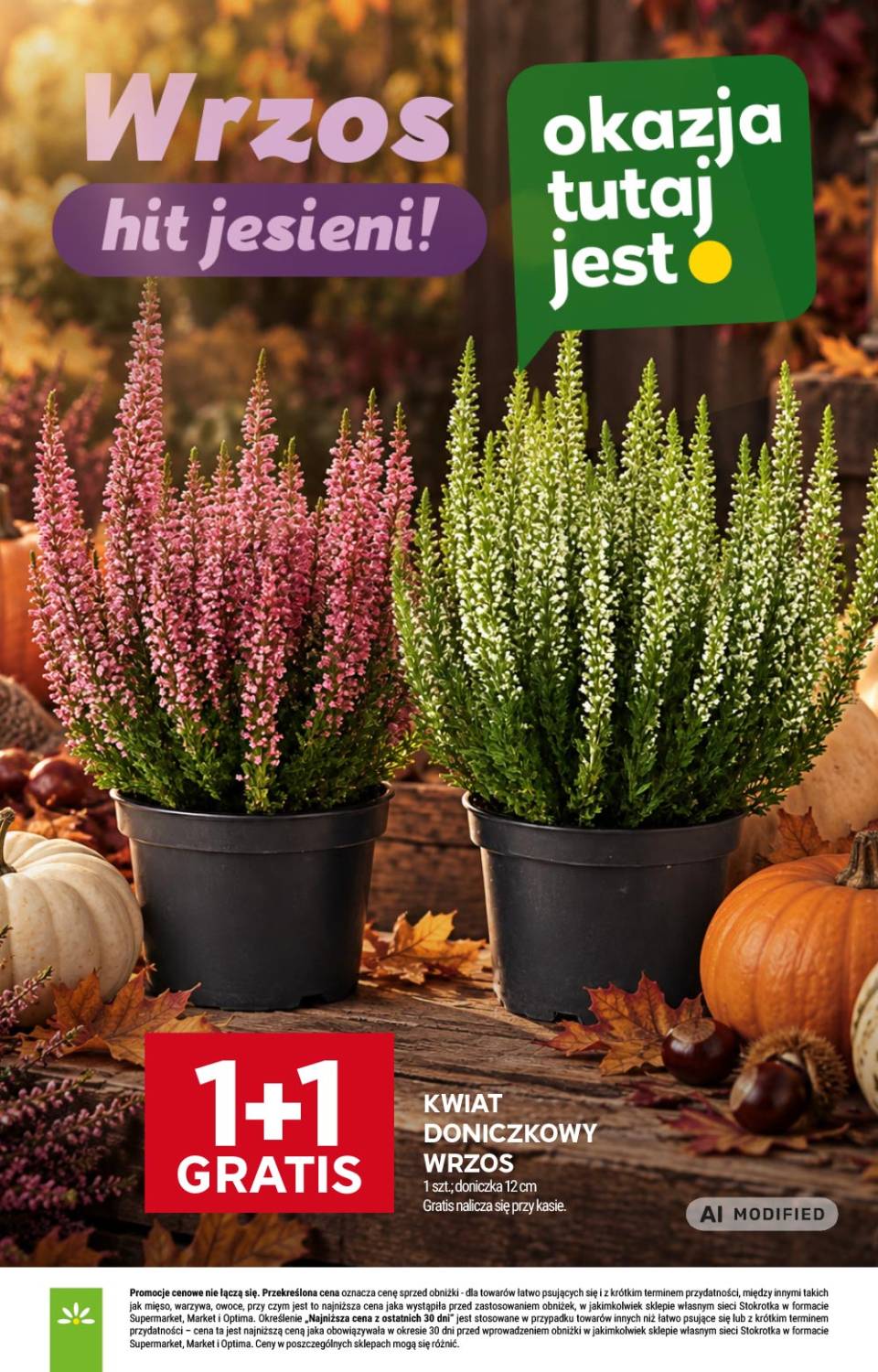 Gazetka – strona 13